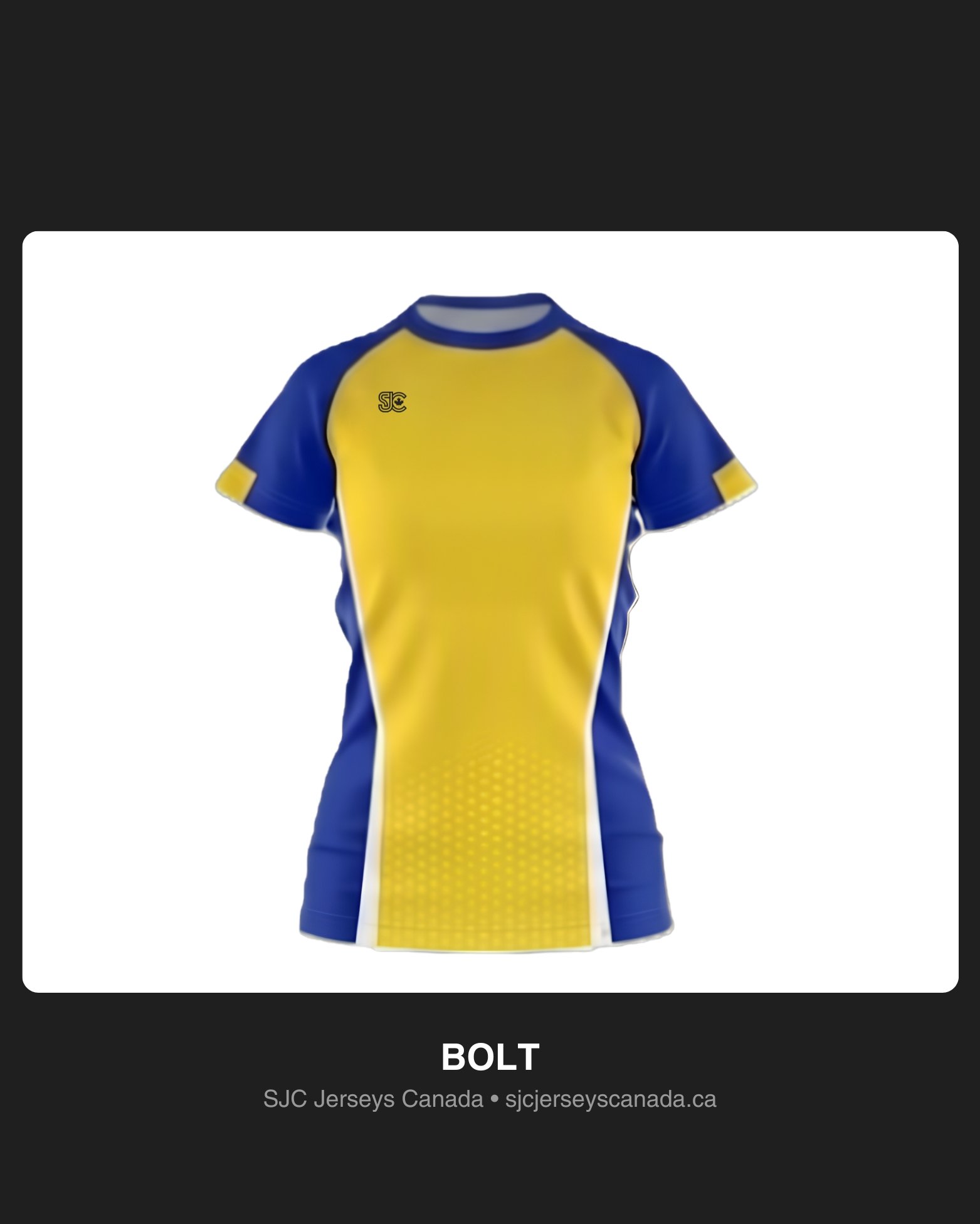Volleyball Design 08